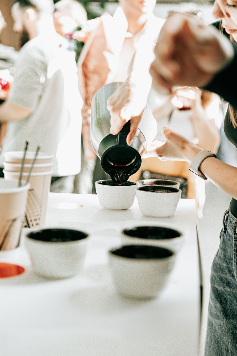 Cups of coffee lined up on a table for a tasting
